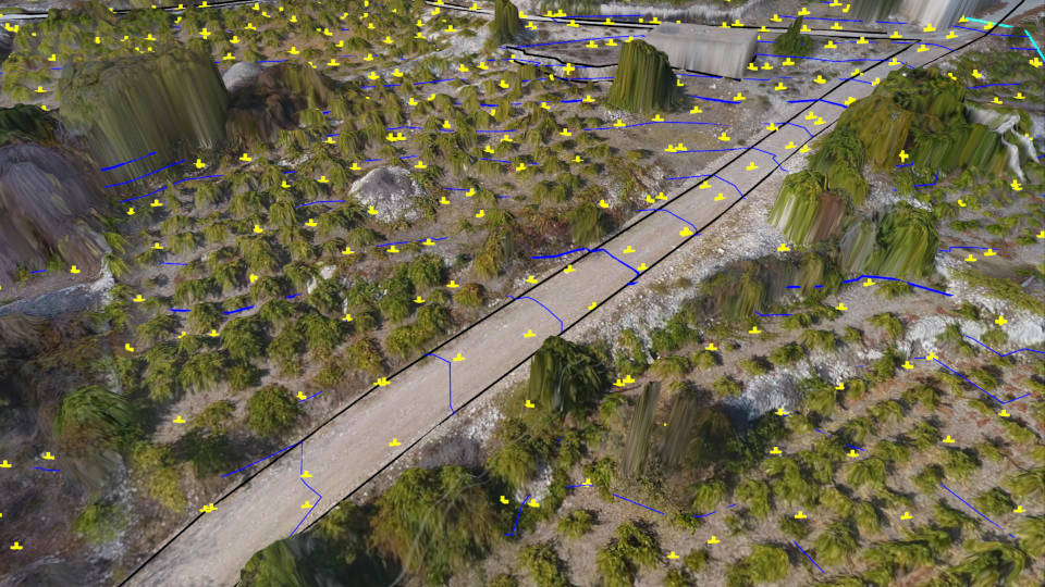 Topographic survey from low-pass points and breaklines. Low-pass points are an ideal tool to efficiently find ground points in vegetated areas. The resulting contour lines follow the ground level under the vegetation.